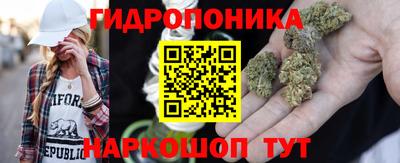 метадон Аргун