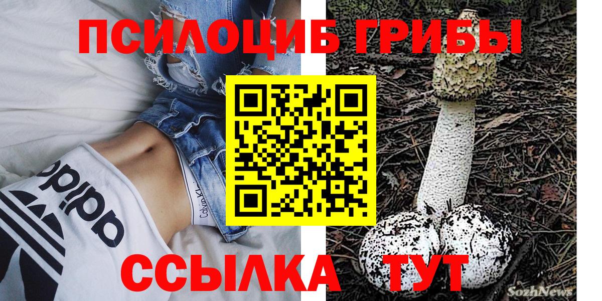 Галлюциногенные грибы MAGIC MUSHROOMS Богородск
