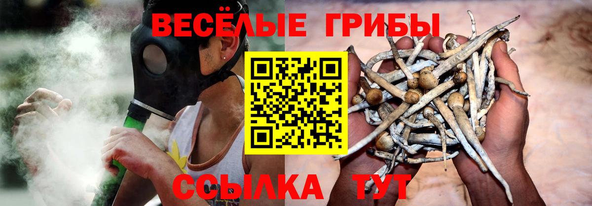 Богородск  Галлюциногенные грибы Psilocybine cubensis  Вход с VPN  Галлюциногенные грибы мухоморы 